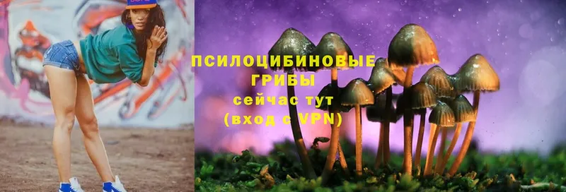 Галлюциногенные грибы MAGIC MUSHROOMS  Белоусово 