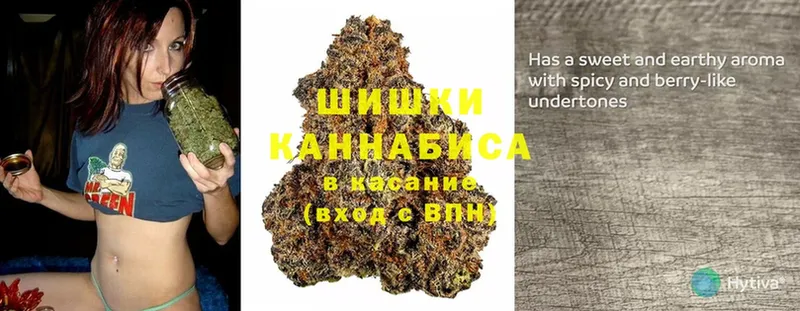 наркотики  кракен ссылки  Канабис Amnesia  Белоусово 